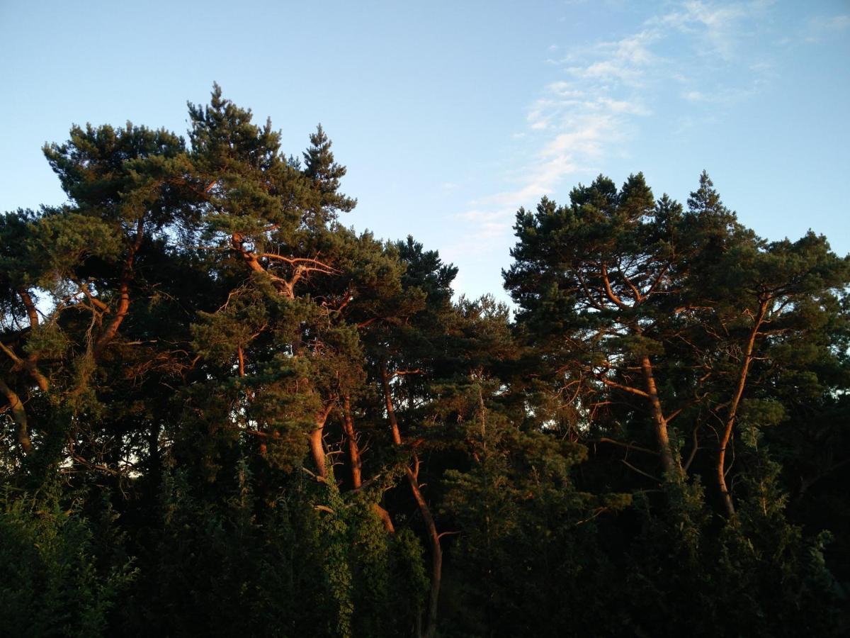 Am Küstenwald Trassenheide